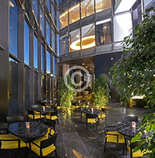HOTELS (224)