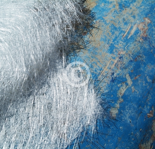 ABSTRACTS
