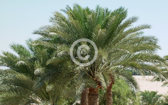 AQABA