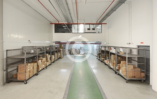 ARAMEX