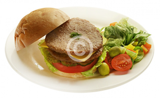 BRAVO FOOD COMPANY (6)