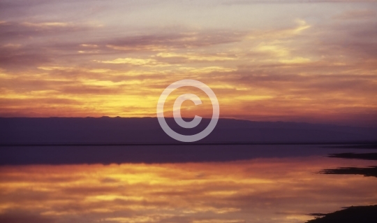 DEADSEA