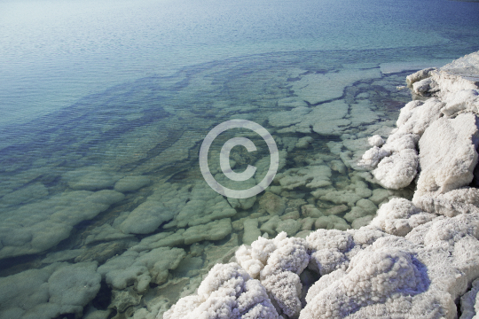 DEADSEA