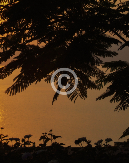 DEADSEA