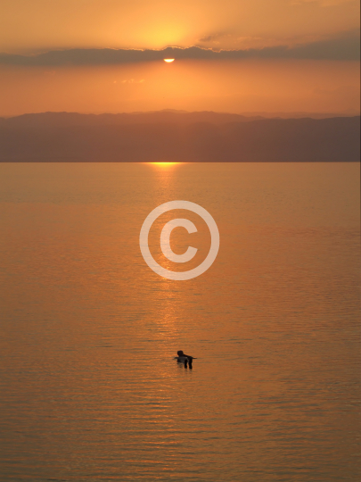 DEADSEA