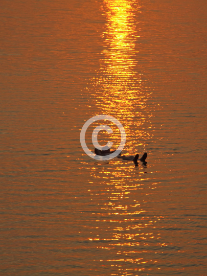 DEADSEA