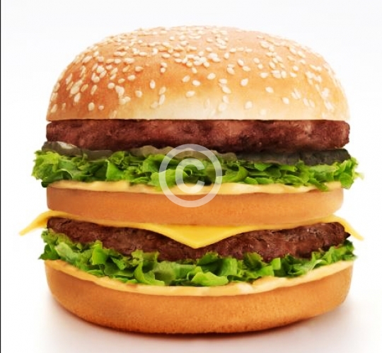 FOOD RESTAURANT STYLE