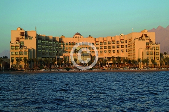 HILTON HOTELS (81)