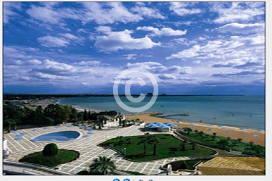 LATAKIA