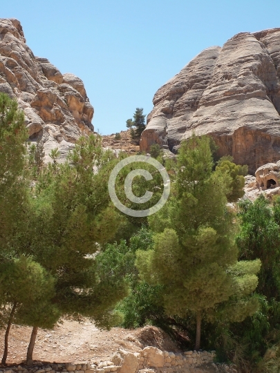 PETRA