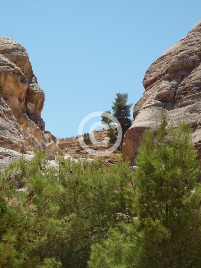 PETRA