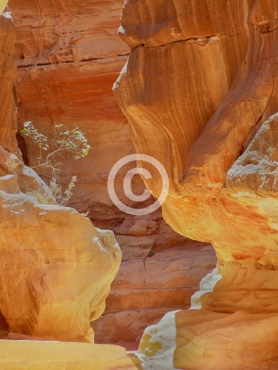 PETRA
