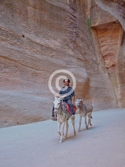 PETRA