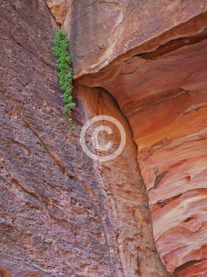 PETRA