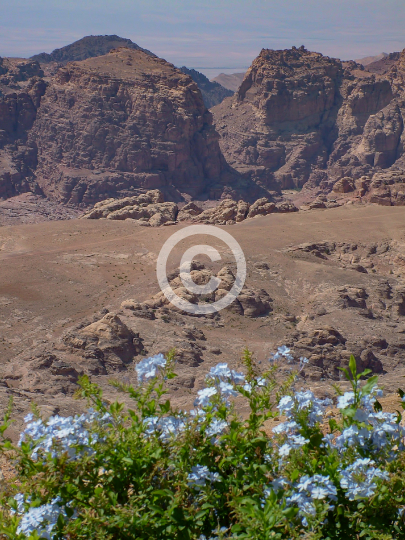 PETRA