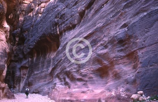 PETRA