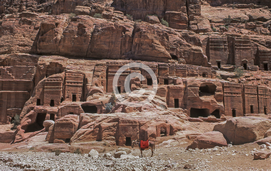 PETRA