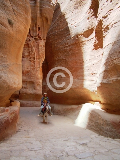 PETRA
