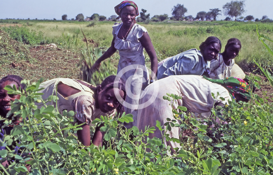 SUDAN