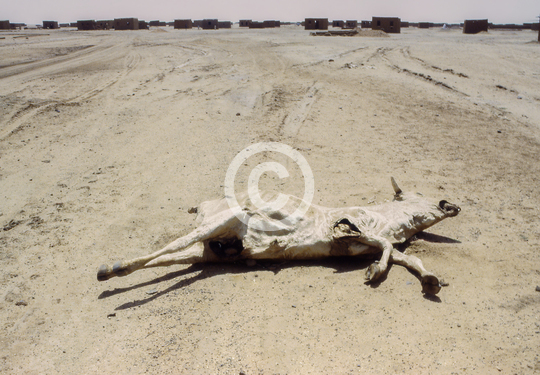 SUDAN