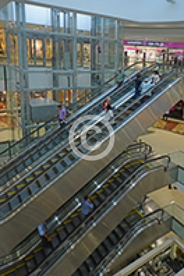 TAJ MALL