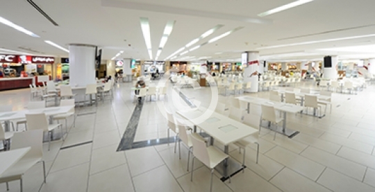 TAJ MALL