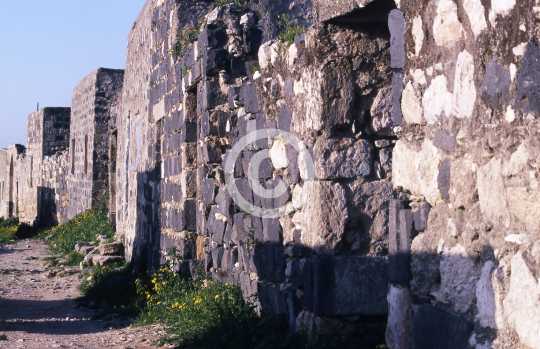 UMM QAIS
