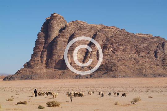 WADI RUM