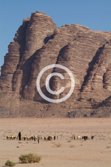 WADI RUM