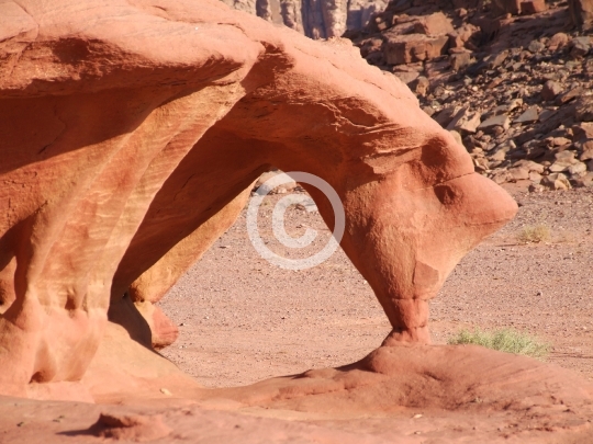 WADIRUM