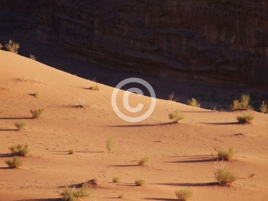 WADIRUM