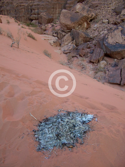 WADIRUM