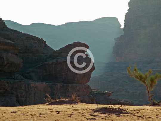 WADIRUM