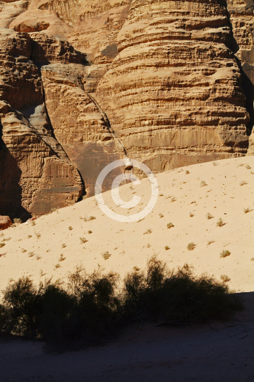WADIRUM