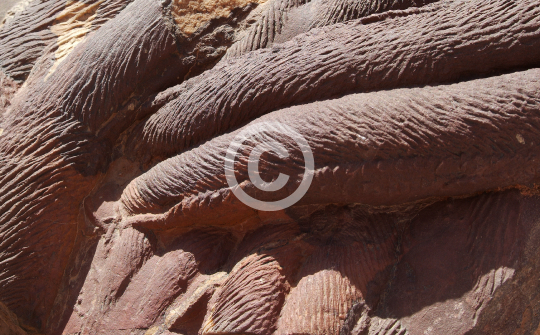 WADIRUM